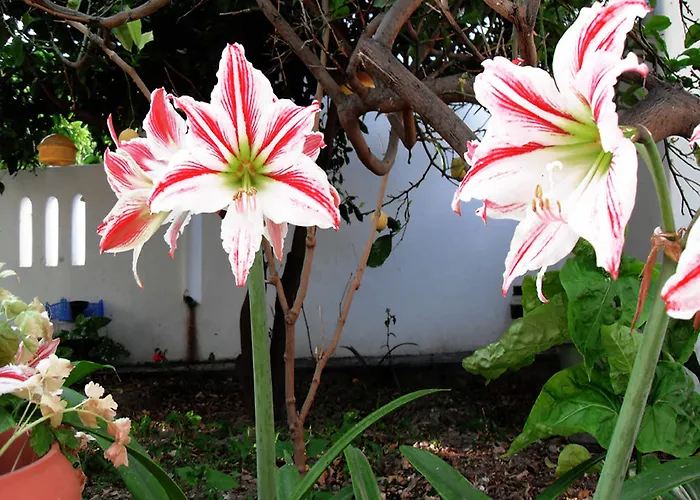 Helliniko (adults Only) Hotel Páros