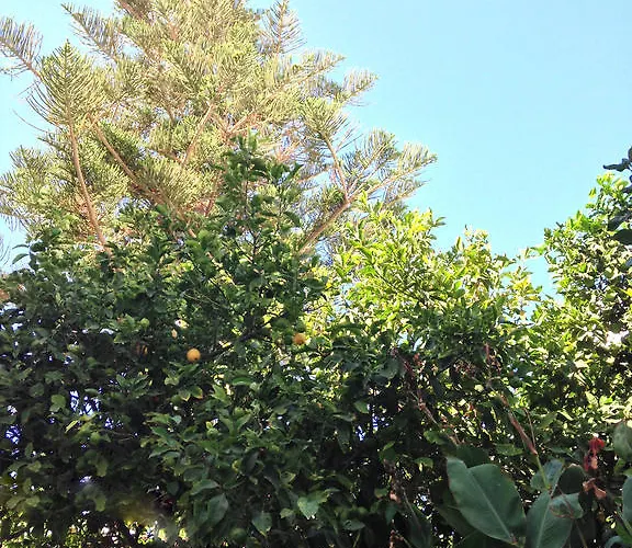 Helliniko (adults Only) Hotel Páros